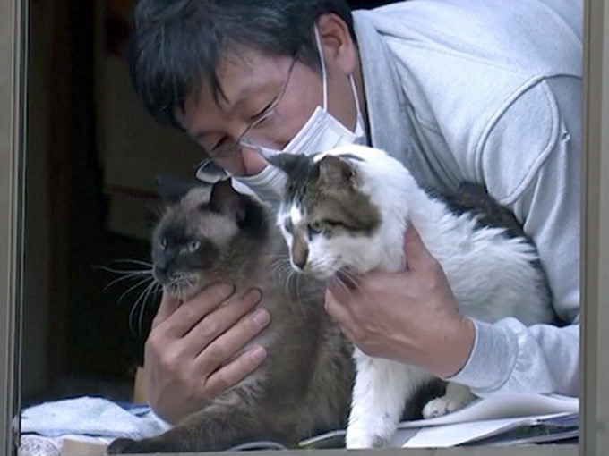日本男子留守福島禁區10年，為照顧遺棄寵物。（網圖）