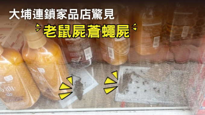 大埔連鎖家品店驚見兩隻老鼠遊走。FB圖片