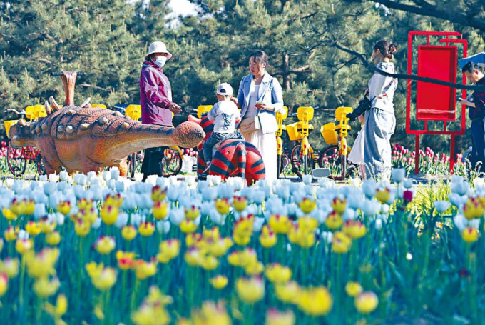 北京市民在郊区休闲赏花。