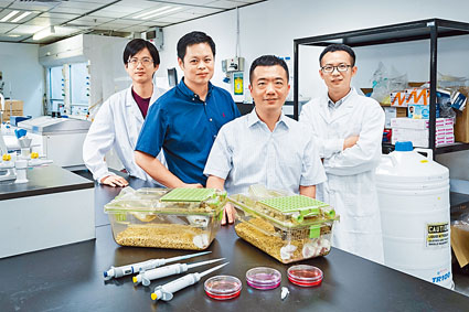 朱光宇（前排）及其研究團隊開發創新抗癌化合物Phorbiplatin，使抗癌治療方法更準確有效，附帶傷害也較少。