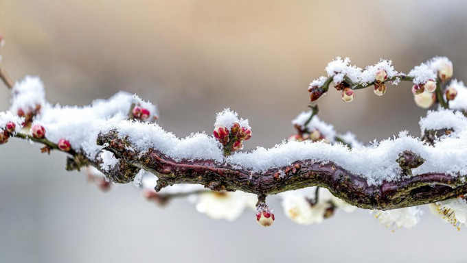 1月20日是大寒节气，也是二十四节气中的最后一个。内地预估从20至23日，中东部地区将出现大范围大风降温以及雨雪天气，气温转为明显偏低。 新华社