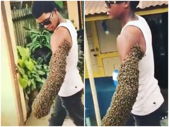 一名男子左手手臂环绕著成千上万只蜜蜂，却竟一脸淡定地走在街头。影片截图