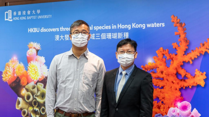 社会|浸大团队香港水域发现3个石珊瑚新物种