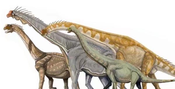 恐龙的整体演化趋势是大型化。