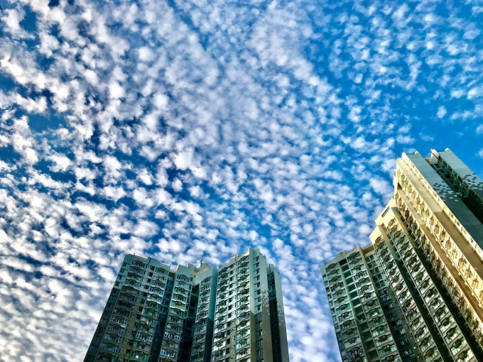 田灣。香港風景攝影會Wc Kwan圖片