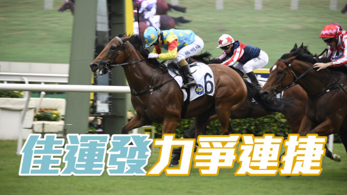 「佳運發」上場在楊明綸胯下贏馬，乃其在港從騎的第三百場頭馬，周日力爭連捷。