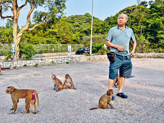 蔡庆熊喂猴近40年，对无法再喂猴子感到无奈。