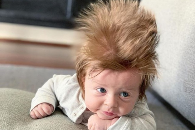 澳洲一名16週大的男嬰，因為他不得了的「髮量」而備受矚目。  IG圖片