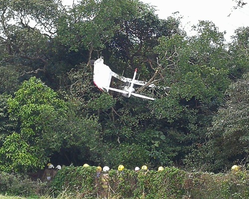 小型機掛在樹上。梁國峰攝