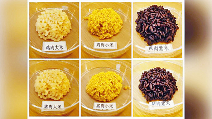 「肉味米」外觀與傳統大米、小米無異。