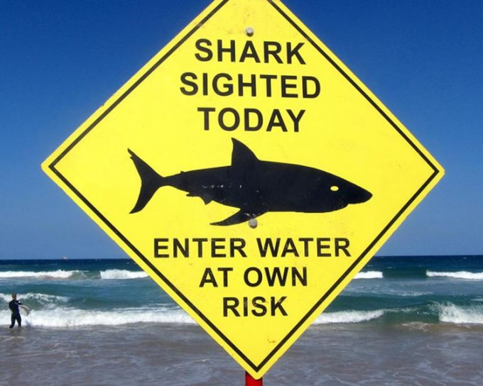 悉尼多個海灘都有提醒泳客提防會有鯊魚襲擊。Reuters　