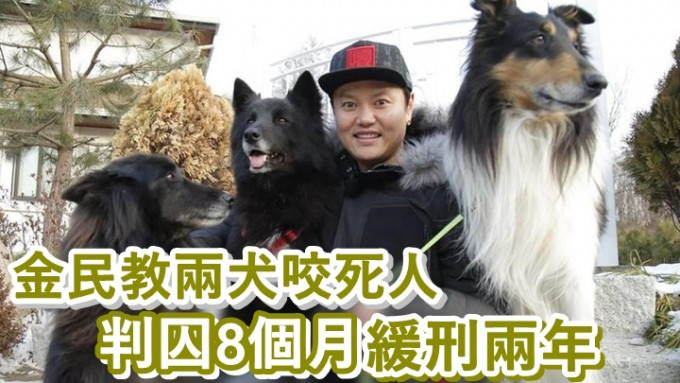 金民教的愛犬出事時，未有繫上狗帶及戴口罩。