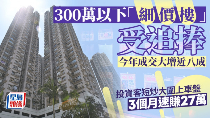 300萬以下「細價樓」受追捧 今年成交大增近八成 投資客短炒大圍上車盤 3個月速賺27萬