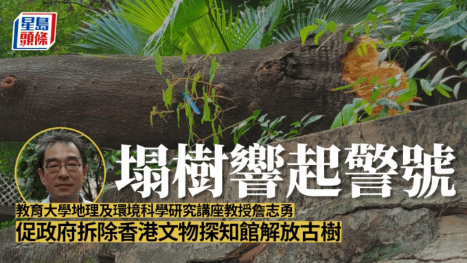 詹志勇希望政府拆毀文物探知館，解放一列樹木。資料圖片