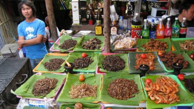 新加坡即日起准許16種昆蟲食品發售。圖為泰國售賣昆蟲食品的攤販。美聯社