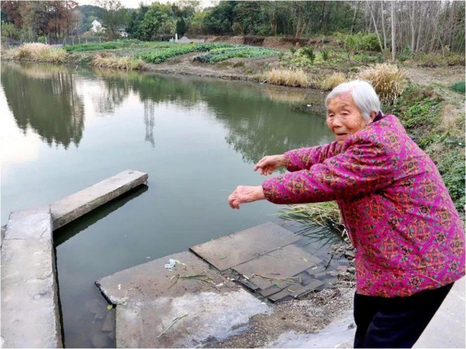 江蘇84歲老婦奮不顧身跳河救人。網圖