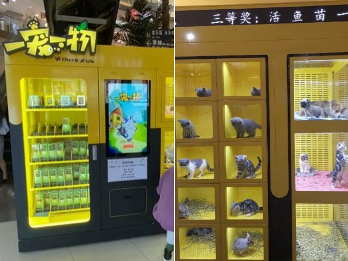 「一寵一物」自動販賣機的玻璃上貼着「玩遊戲積分換萌寵」。