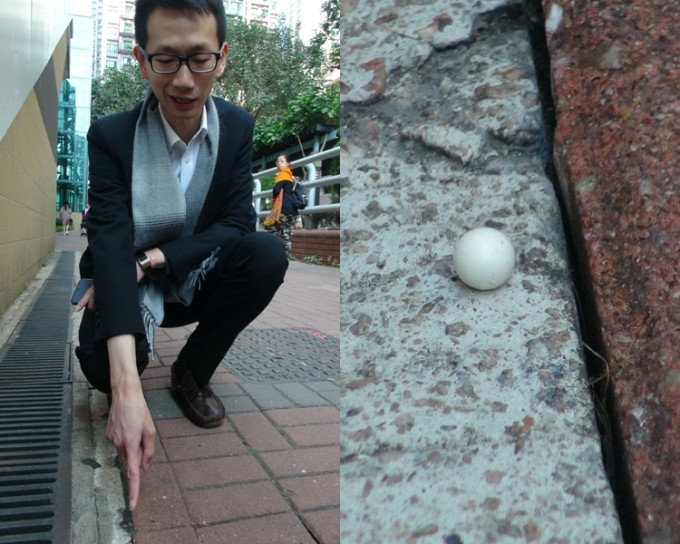 陈志豪表示今早仍然能够在地上找到不少BB弹。