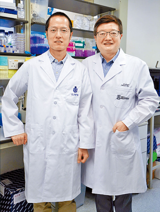 科大教授党尚宇（左）及港大教授陈志伟。