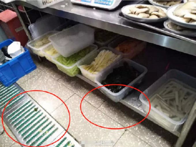 湖南衞视主播杜海涛创立的火锅品牌「辣斗辣」加盟店，则被投诉火锅汤菜中有苍蝇。网图
