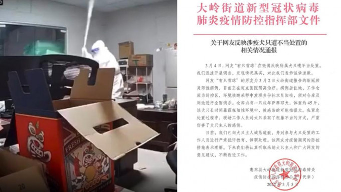 惠東縣防疫部門表示已向狗主道歉，涉事工作人員停職。網圖