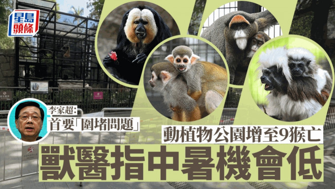 動植物公園9猴死亡｜獸醫指中暑機會低 澄清與猴痘病毒無太大關連