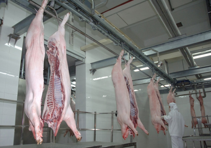 越南有廠曾以虛假衛生證明書出口冷藏豬肉來港。資料圖片