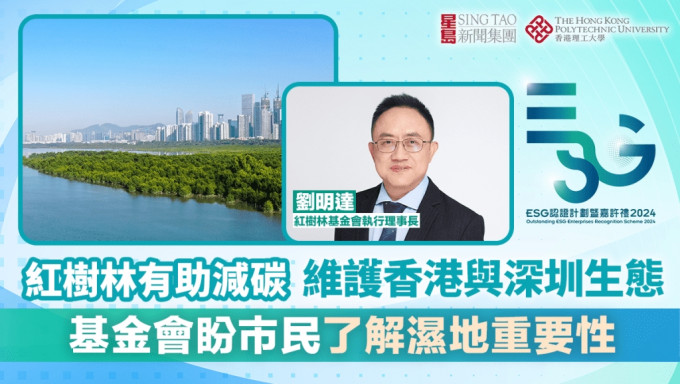 红树林有助减碳 维护香港与深圳生态 基金会盼市民了解湿地重要性