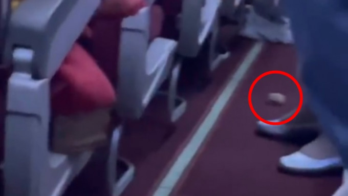 一只仓鼠日前在海南航空航班上出没，引发有乘客惊慌。网上影片截图