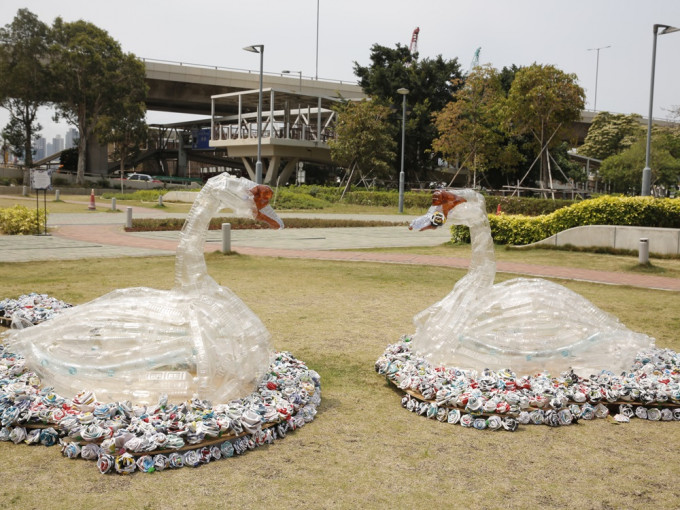 設計師指以塑膠樽拼砌天鵝，期望向社區傳遞愛。基督教家庭服務中心提供