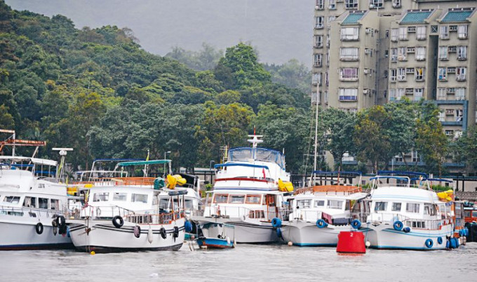 葛佩帆促请政府职支援出租游乐船行业。资料图片