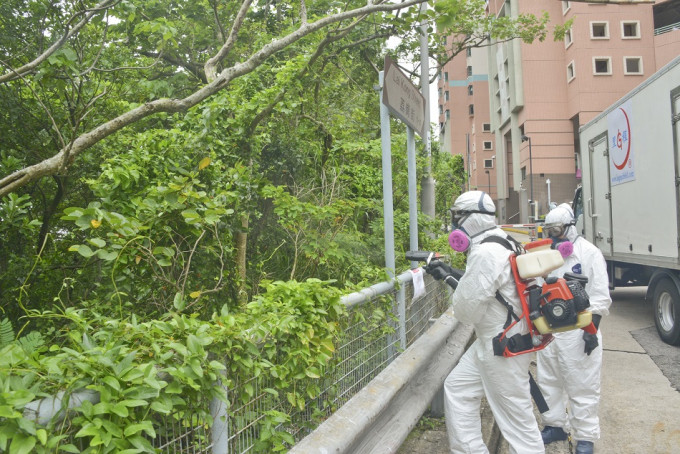 35歲居住大埔男子確診登革熱今年首宗本地個案。資料圖片