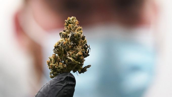 拜登政府力推大麻合法化。美聯社資料圖片