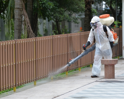 8月全港白紋伊蚊誘蚊產卵器指數下降7.3%。資料圖片