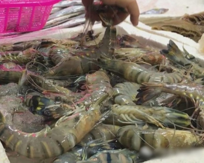 沙田街市海鲜档一个虾样本验出微量兽药。资料图片