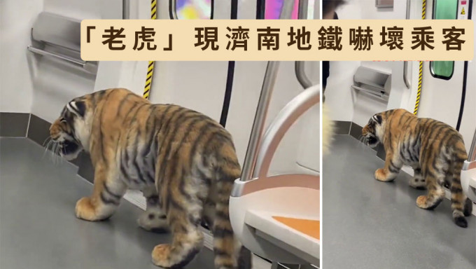 「老虎」現濟南地鐵嚇壞乘客。