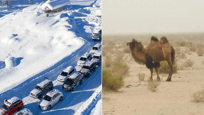 擅闯新疆若羌野骆驼保护区，自驾游车队坏车走散，致3死1失踪。