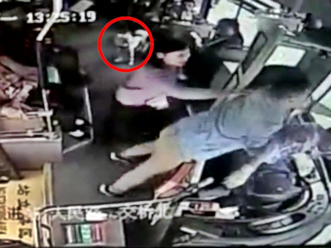 湖南长沙一名男子带宠物犬上巴士被阻，暴打司机。(网图)
