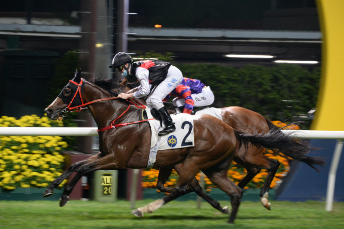 「竞骏天骄」今晚在潘顿胯下赢马，而骑者亦提早赢今晚骑师王。