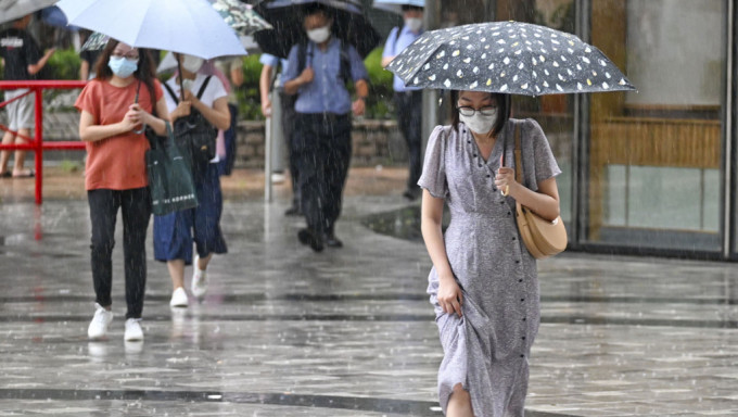 受广阔低压槽影响，未来两三日本港有骤雨及雷暴。 资料图片