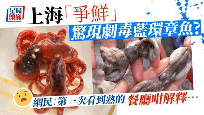 女子网上发布照片称在连锁餐厅吃到剧毒蓝环章鱼。