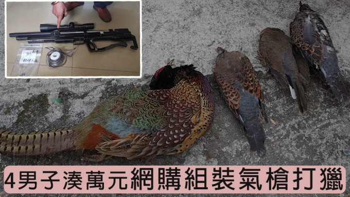 重庆4男子馋野味，网购组装气枪打猎。