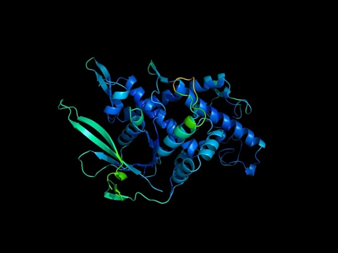 DeepMind利用AI技術破解細胞內蛋白質如何轉變成雙股螺旋的機制。網圖