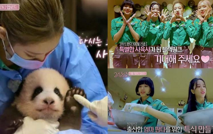 韓國女團BLACKPINK在節目中觸摸小熊貓，引起內地網民不滿。