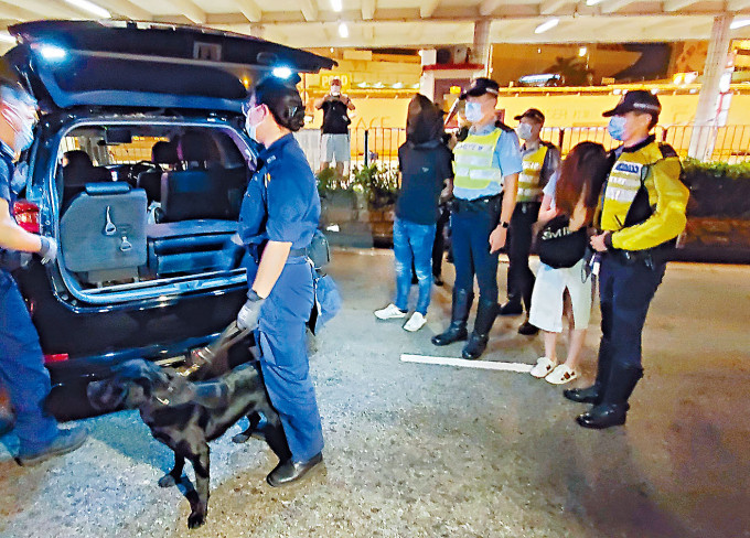 ■警方出動警犬，並押同「迷幻毒男」及女乘客搜查七人車。