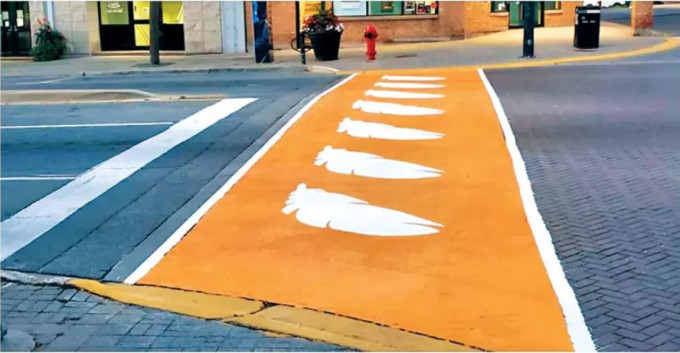 安省添明斯市區近日完工的橙色人行道。 Twitter
