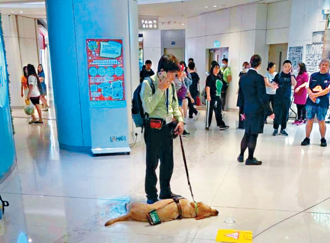 導盲犬Funny本月13日於將軍澳康城商場內暈倒後搶救不治。