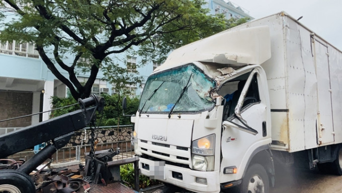 大樹塌下壓中輕型貨車，司機受傷。蔡楚輝攝