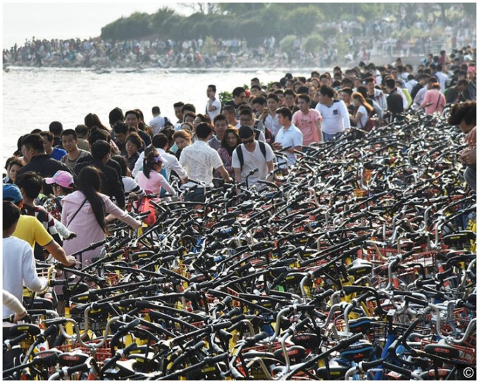 深圳湾拍满共享单车。网上图片
