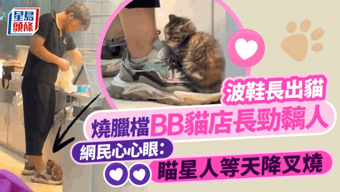 网上流传一段BB猫店长黏人短片，烧腊店员工「脚部长出猫猫」的可爱情景融化了网民的心。